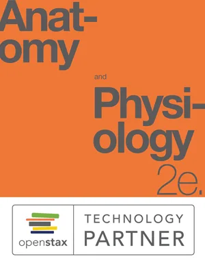 openstax anatomy and physiology 2e textbook to audiobook